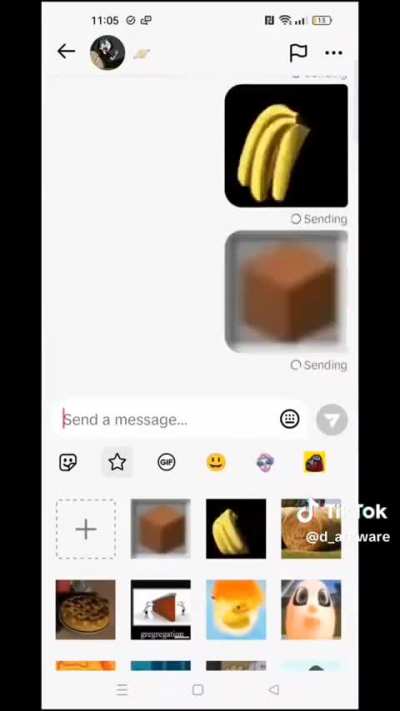 Terracotta Pie