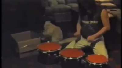 Kitty on the drum