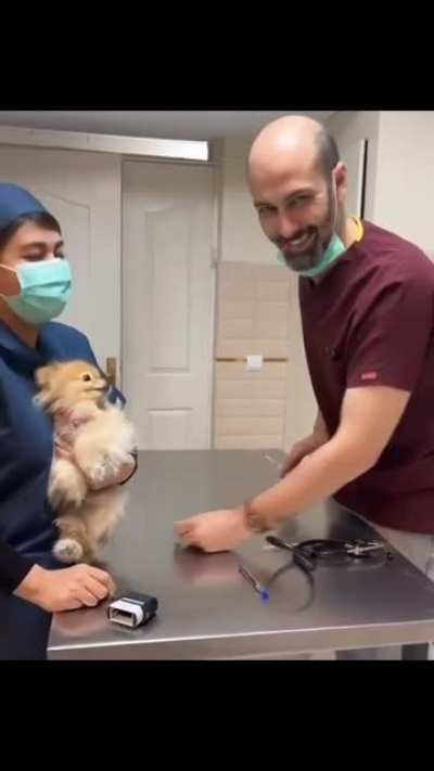 Doggo is SCARED!