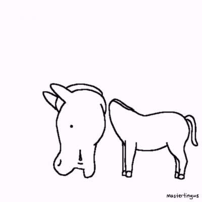 horse cowboy cha cha