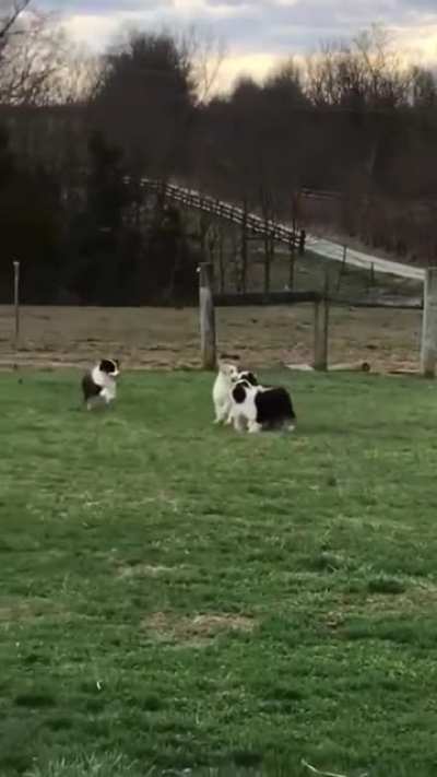 Teamwork