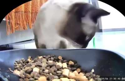 Кушаць