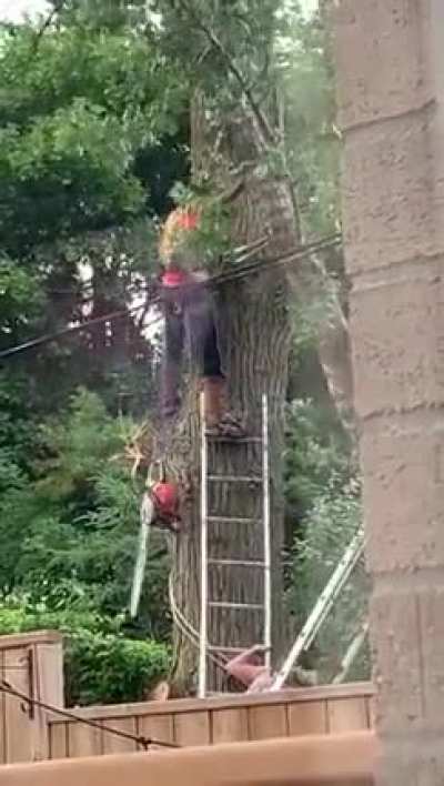 Delimbing isn't just for trees...