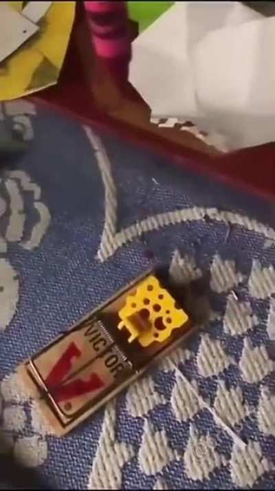 Kid hurts his finger while testing mouse trap