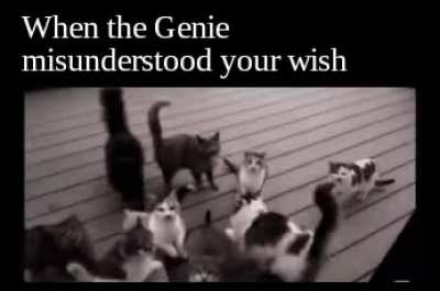 My wish is granted