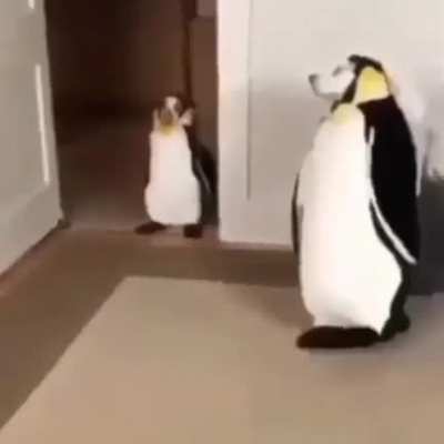 ððð