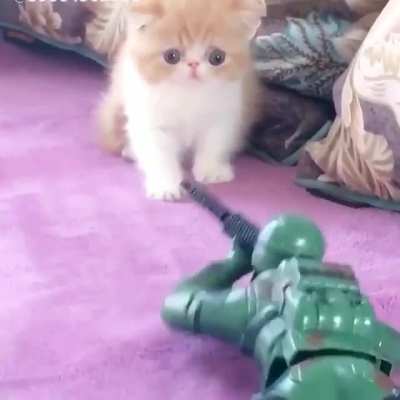 War is hell