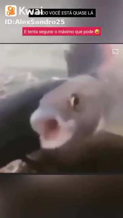 AAA AA AA AA AA AAAAAAA AAAAAAAAAAAAAAAAAA