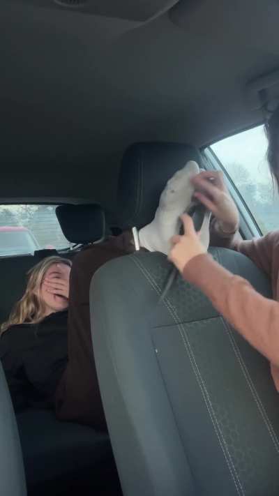 Gracy feet tickled in the car