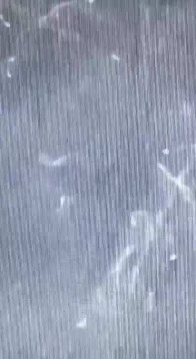 Russian Wagner mercenaries being destroyed by Ukrainian artillery while trying to advance from Soledar.