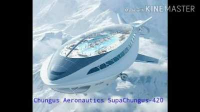 CHAD Chungustani Airlines 💪😎🇳🇪🇳🇪✈️✈️✈️ Vs Air India 🔻🔻🤣🤣🤣💀💀💀🤢🤢🤢