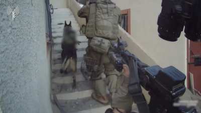IDF in Gaza, 19/11/2023
