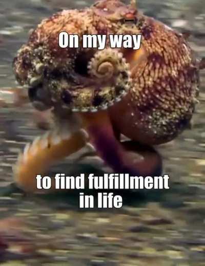 Walking to Octolantis