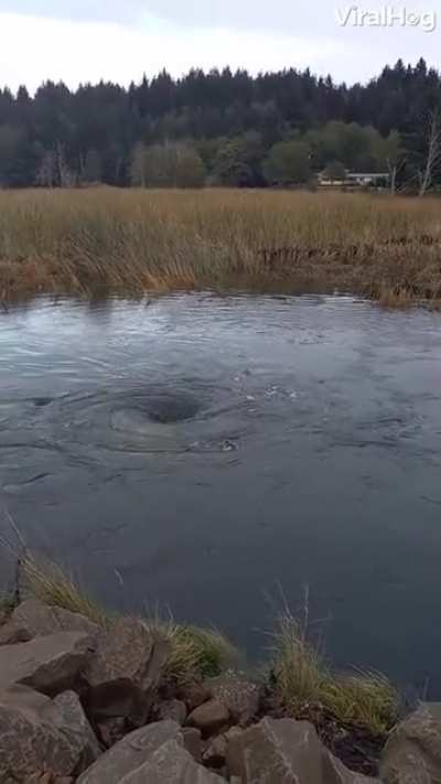 Water swirl wormhole!?