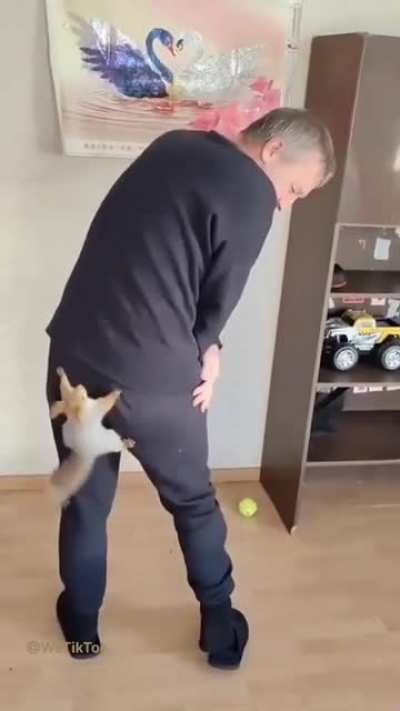 Catch me if you can
