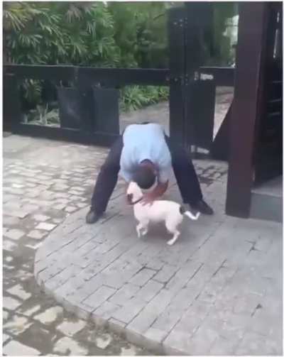 A perfect fit for this sub