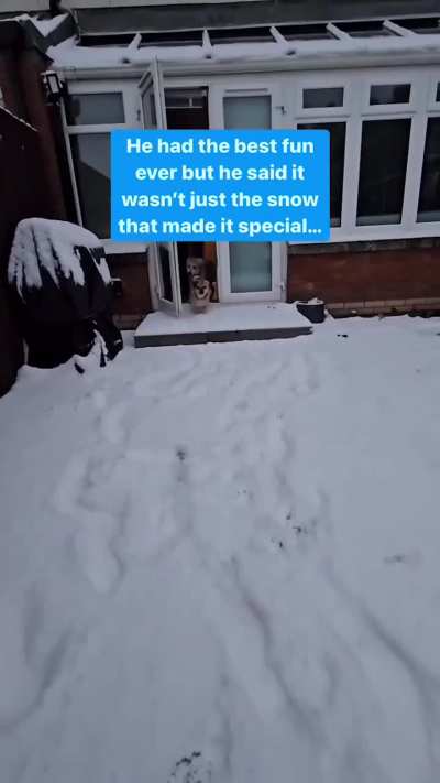 A Rescued Thai street dog sees snow for the first time