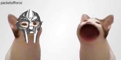 Cat pop