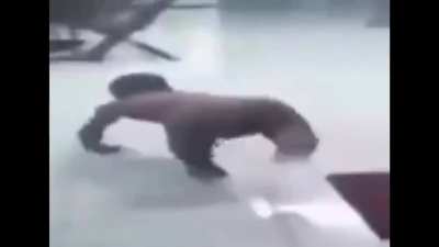 pp