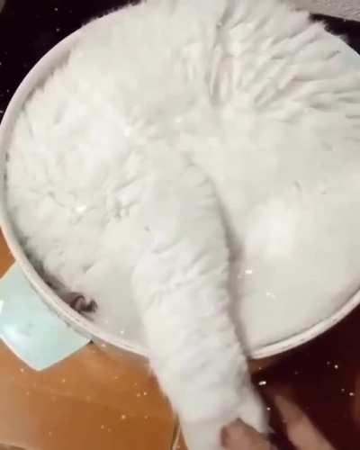 perfect fit