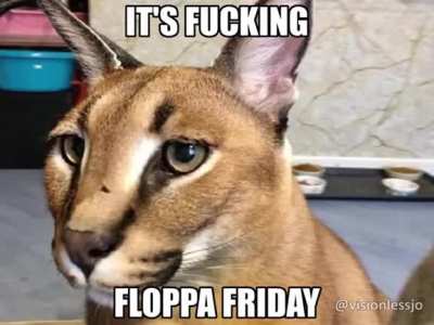 Congratulations, you've made it to FLOPPA FRIDAY