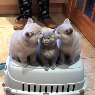 Любовь это...