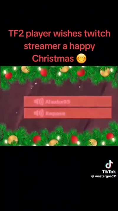 wholesome gamer wishes a merry Christmas to unknown streamer!