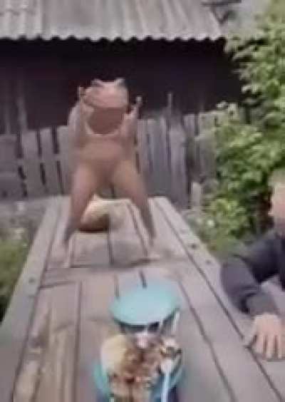 cursed_russia