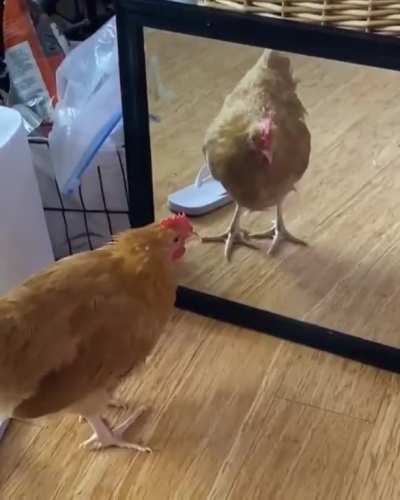 I feel bad for laughing