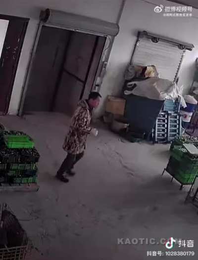 Overloaded elevator with no safety brake