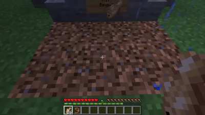 bingus funeral :(