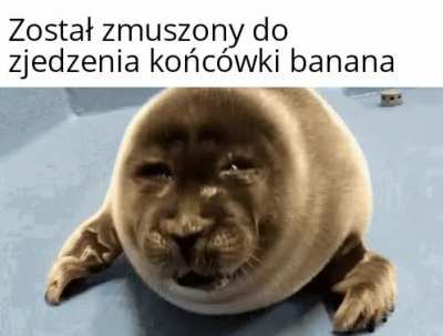 Biedna mysz