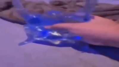 el baile de la bolsa con agua