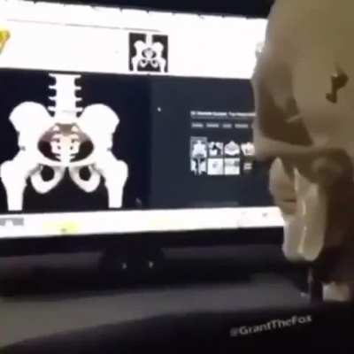 boner?