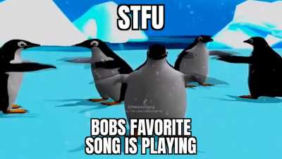 All my homies love bob