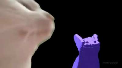Cat, but it's cubes