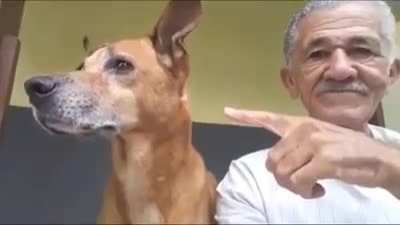 🐶👈🙂