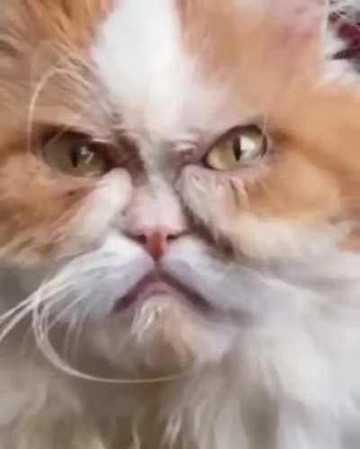 Челов<wbr>ек, ты мне не нрави<wbr>шься!
