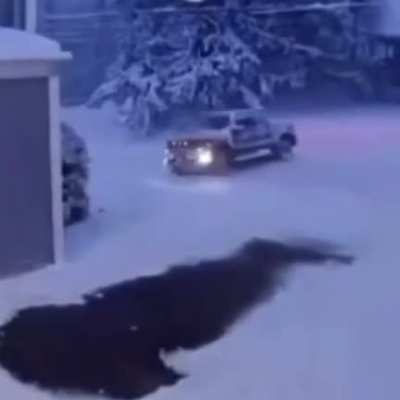pov:Ford