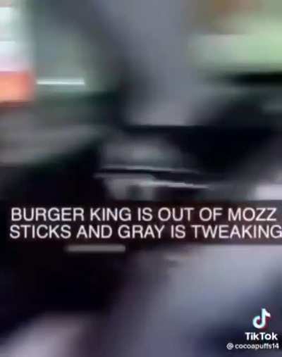 mozzarella stiks