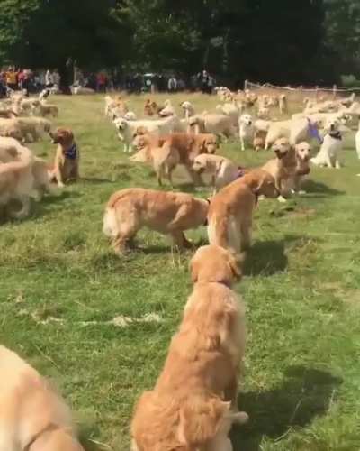 Good Boys For Days