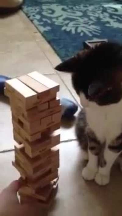 The concentration, the ability!