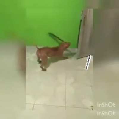 hmmmm