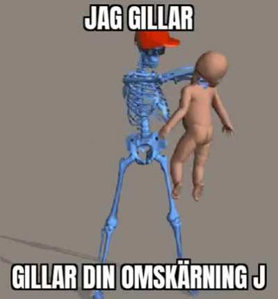 aj lajk jår katt j