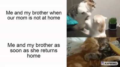 It do be like that