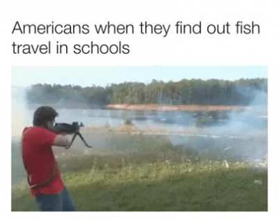 Insert title of meme here