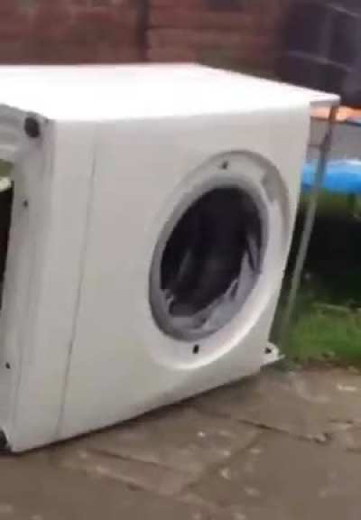 Порошок