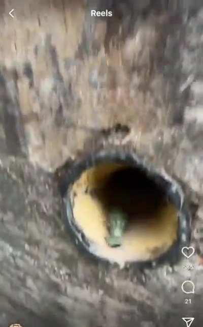 Fake air vent built into a bunker in Normandy.