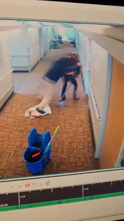 Janitor vs Pedestrian