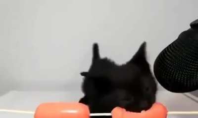 👍